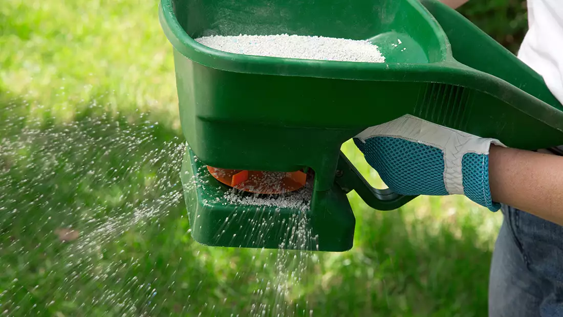 Fertilizing image